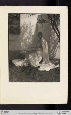 [George Henry Seeley, III. The White Screen, photogravure from the original negative]