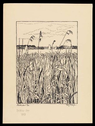 Märkische Landschaftsstudie V – Märkischer See/Seddin See
