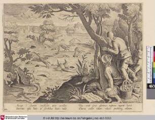 [Kranichjagd mit Kegeln; Crane hunt using cones]