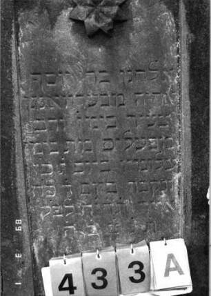 Grabstein 433 (Index: 99752738) Material: Sandstein Zustand: verwittert Maße HxBxT: 139x54x12 cm Beschreibung: Stele, schräg eingezogener Rundbogenabschluß, Schriftfeld eingetieft Symbolik: Blüte: Grabstein 433A