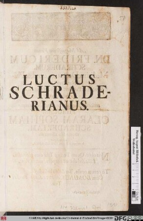Luctus Schraderianus