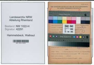 Entnazifizierung Waltraut Hammelsbeck , geb. 11.10.1902 ()