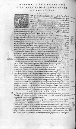 Historia Quadragesima Sexta. De Torpedine