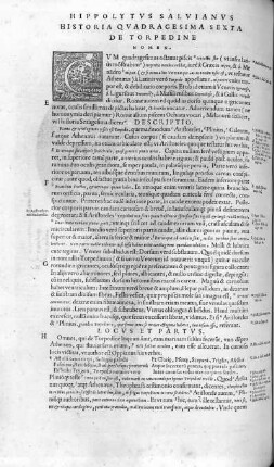 Historia Quadragesima Sexta. De Torpedine