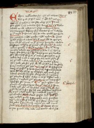 Sermo in dom. 4. p. Pentecosten