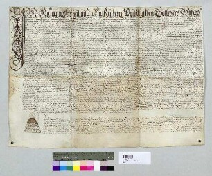 Testament des Johannes Rieger, Pfarrherr zu Illkofen. Notar: Vinzenz Braunschwaiger