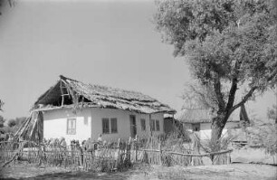 Reisefotos Rumänien. Verlassenes Bauernhaus