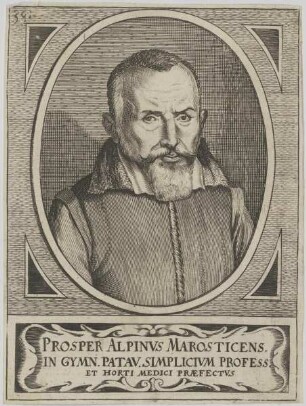 Bildnis des Prosper Alpinvus