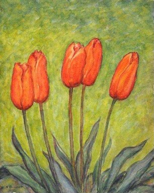 "Botanische Tulpen"