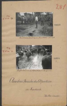 Tragtierkolonnen des Alpenkorps in Mangiennes