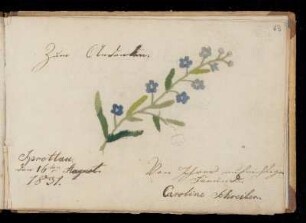Eintrag (Sprottau, 16.08.1831) von Caroline Schreiber