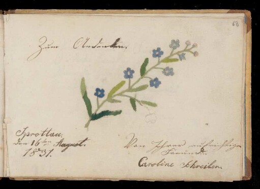 Eintrag (Sprottau, 16.08.1831) von Caroline Schreiber