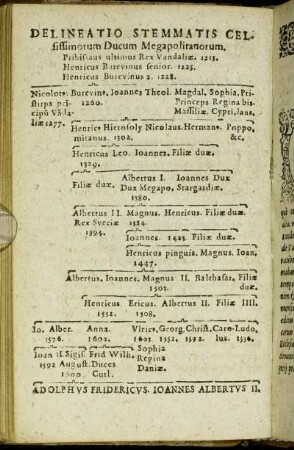 Delineatio Stemmatis Celsissinorum Ducum Megapolitanorum.