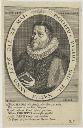 Bildnis des Philippus Pareus