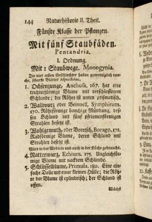 144-155, Mit fünf Staubfäden