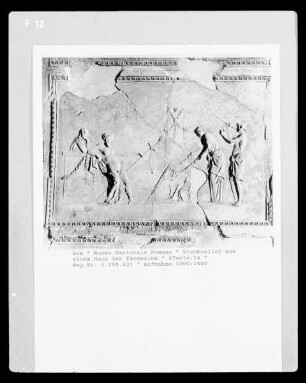 Stuckrelief aus einem Haus der Farnesina