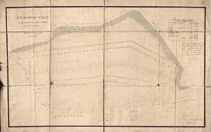 Original-Plan des herrschaftlichen Grundstückes bey Oftersheim, die Aschlach genannt