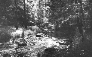 Löbau-Bellwitz. Löbauer Wasser im Skalatal