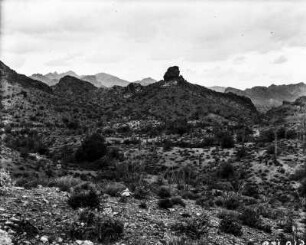 Landschaft bei Phoenix (Transkontinentalexkursion der American Geographical Society durch die USA 1912)