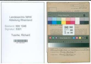 Entnazifizierung Richard Tusche , geb. 28.10.1891 (Kaufmaennischer Angestellter)