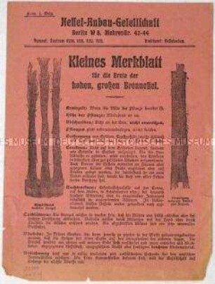 Merkblatt für die Ernte von Brennesseln als Nahrungsersatz