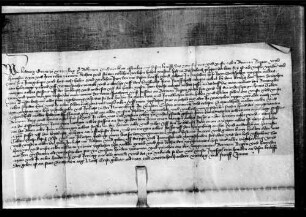 Graf Ludwig I. leiht Bermann Rapp und Hans Man seinen Hof zu Busenbach, der bettefrei ist, zu einem Erblehen.