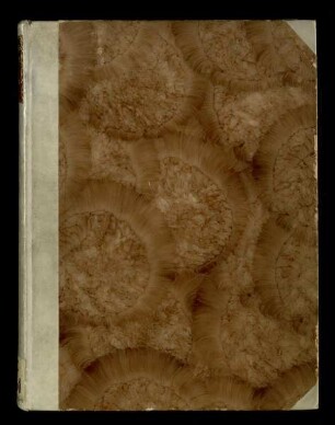La Vita Nuova di Dante