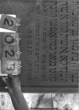 Grabstein 202 (Index: 99609838) Material: Sandstein Zustand: leicht verwittert Maße HxBxT: 240x64x35 cm Beschreibung: Stele, Abdeckplatte, Giebelaufsatz mit Mittel- und Seitenakroteren, Palmettenaufsatz, Schriftfeld eingetieft, Sockel Symbolik: Mohnkapseln, florale Elemente: Grabstein 202B