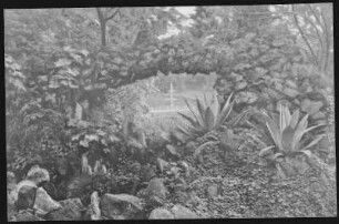 Portland, Oregon. Looking through the Grotto, City Park