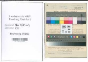 Entnazifizierung Walter Blumberg , geb. 29.08.1901 (Beamter)