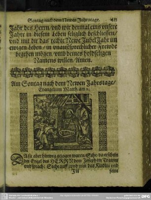 Am Sontage nach dem Newen Jahrstage, Evangelium Matth. am 2.