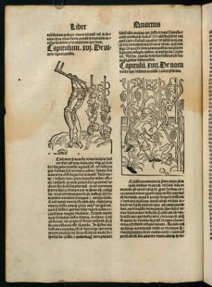 XLv-XLIXv, Capitulum XVII-XLVI