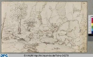 Zweigeteilter Fluss mit kleiner Bauminsel vor schroffer Felswand