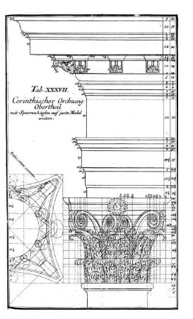 Tab. XXXVII. - Corinthische Ordnung Obertheil.
