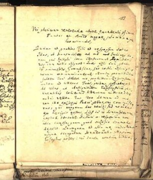 Brief 13
