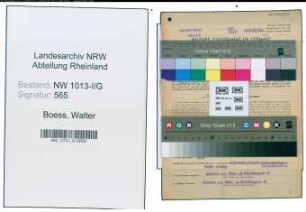 Entnazifizierung Walter Boess , geb. 09.02.1920 (Kaufmaennischer Angestellter)