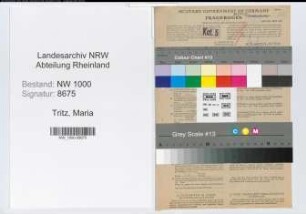 Entnazifizierung Maria Tritz, geb. 22.11.1900 (Sachbearbeiterin)