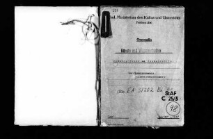 Landesgesetz zum Schutze der Kulturdenkmale (Badisches Denkmalschutzgesetz) vom 12. Juli 1949