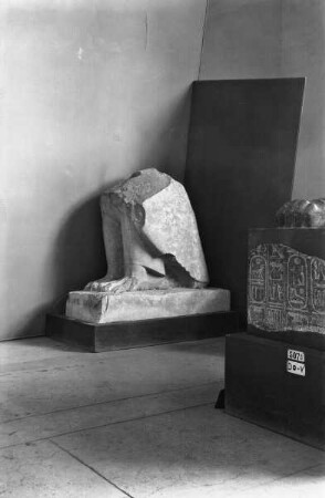 Geier des Amenemhet III.