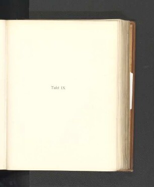 Tafel IX.