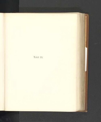 Tafel IX.
