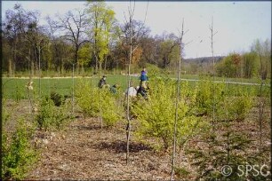 Potsdam, Neuer Garten, Junge Pflanzung zwischen Pfaueninsel- und Sacrowsicht im ehemaligen Grenzgebiet.