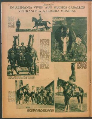 En Alemania viven aún muchos caballos vateranos de la guerra mundial [Fotografías]