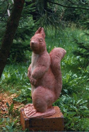 Eichhörnchen