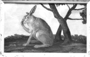 Hase : Hase. Öl? auf Holz (wohl 1630/1684; C. Schiebling und C. Wiebel zugeschrieben). Radebeul, Hoflößnitz, Berg- und Lusthaus, Berg- und Lusthaus, Wohnraum des Kurfürsten