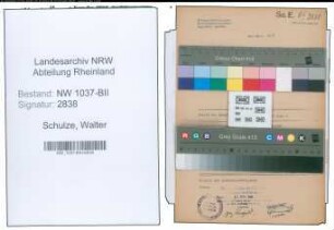 Entnazifizierung Walter Schulze , geb. 29.09.1887 (Huettendirektor)