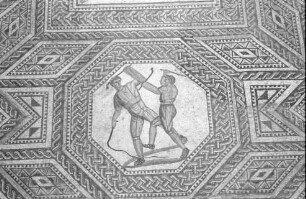 Nennig: Römischer Mosaikfußboden, Ausschnitte