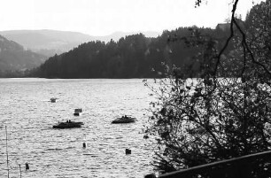 Boote auf dem Titisee