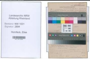 Entnazifizierung Elise Hornfeck , geb. 03.04.1900 ()