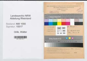 Entnazifizierung Walter Orlik, geb. 11.07.1906 (Angest.)